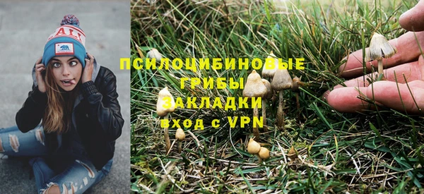 метадон Медногорск